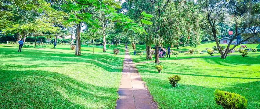 Green spaces are  crucial for improving air quality. Vegetation helps absorb pollutants, reduce particulate matter, and produce oxygen. At @UCUniversity this gives a conducive and calm learning environment for our students. 

Maintain green spaces to #BeatAirPollution ~@nemaug