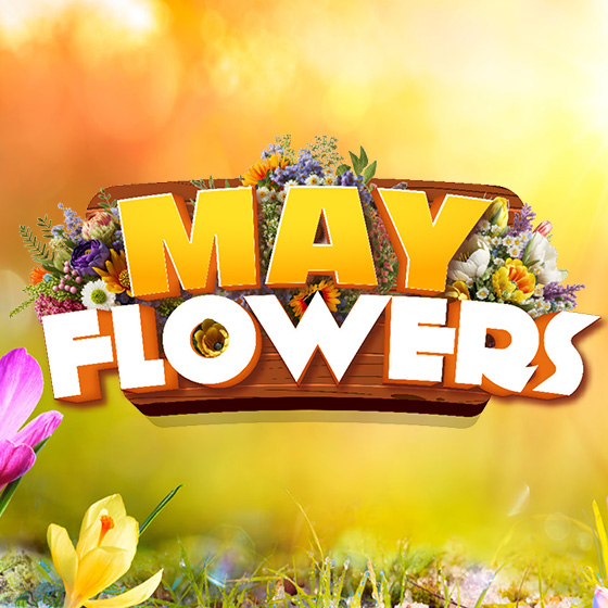 This Friday between 3 p.m. - 11 p.m., 2 winners will be chosen each hour to pick a flower for a chance to win up to $2,000 in premium play! Visit our website for details loom.ly/6gt2rPw #LuckyDraw