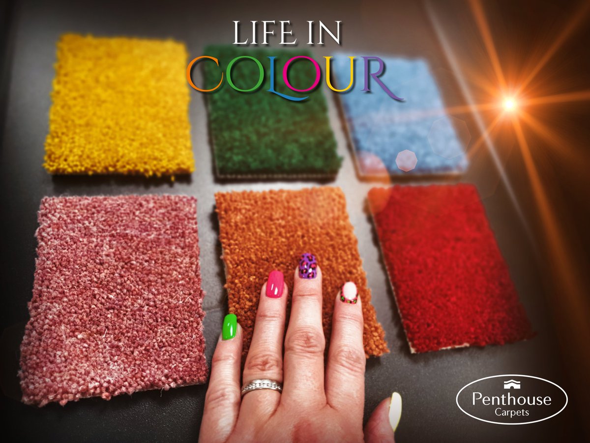 Inject colour and warmth into your home with a stunning carpet from Penthouse! 📷 Elevate your space with vibrant hues and luxurious comfort.
Order your free samples at penthousecarpets.co.uk #lifeincolour #colouryourhomehappy