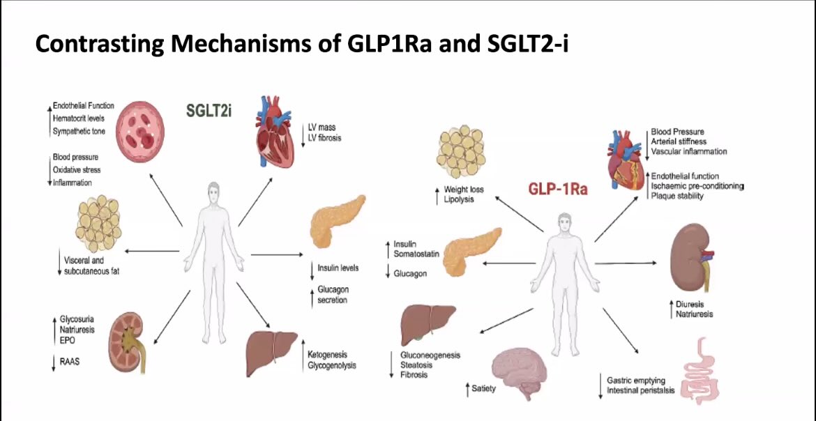 Checkout the contrasting mechanisms for 
#GLP-1 Ra and #sglt2 i
And thats why the combination is recommended #isnwebinar
#thisisISN 
@ISNeducation
