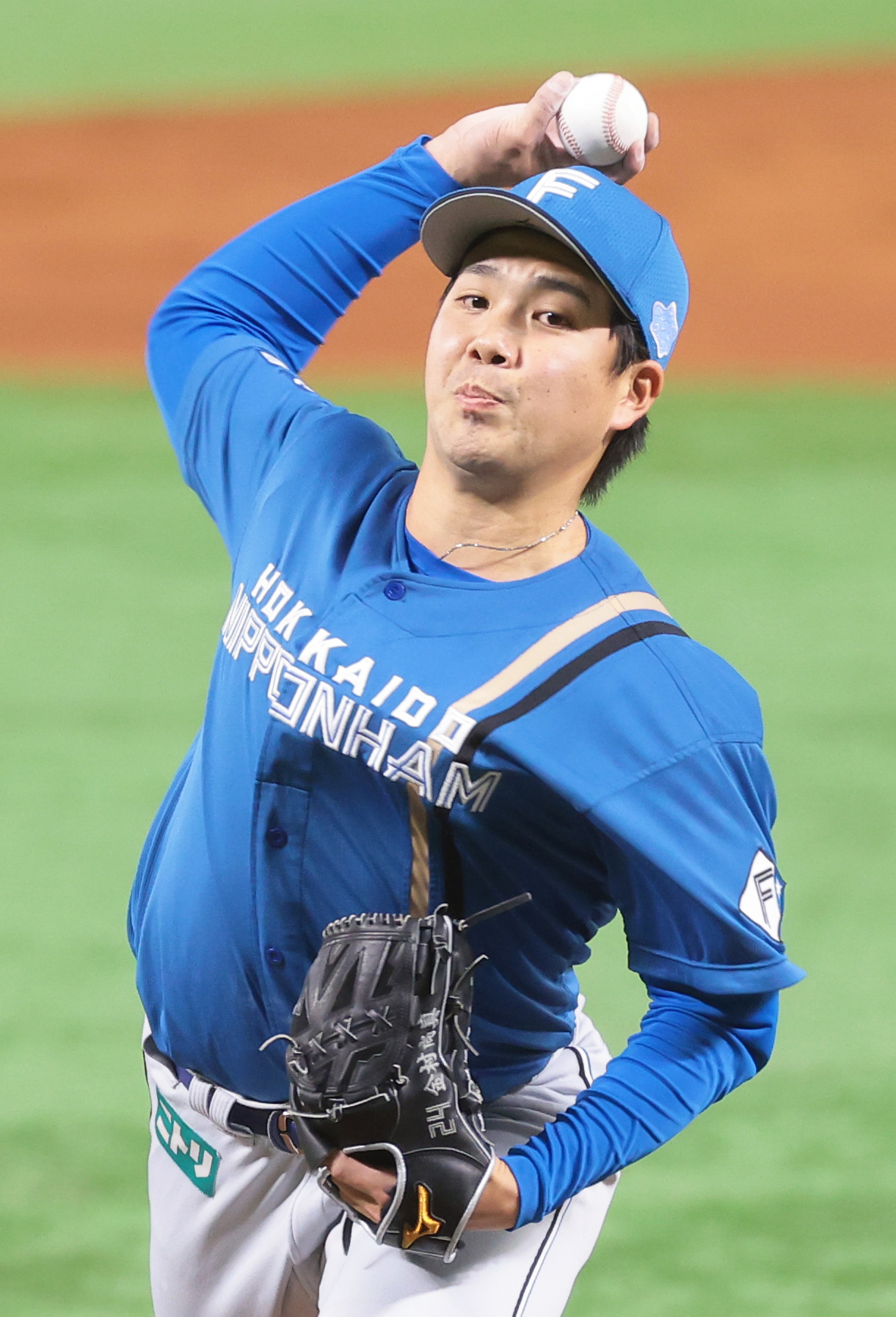 ◾️ファイターズ　推しペアクッション　郡司裕也　野村佑希 ファイターズ 推しペアクッション 郡司裕也 野村佑希 FAV限定