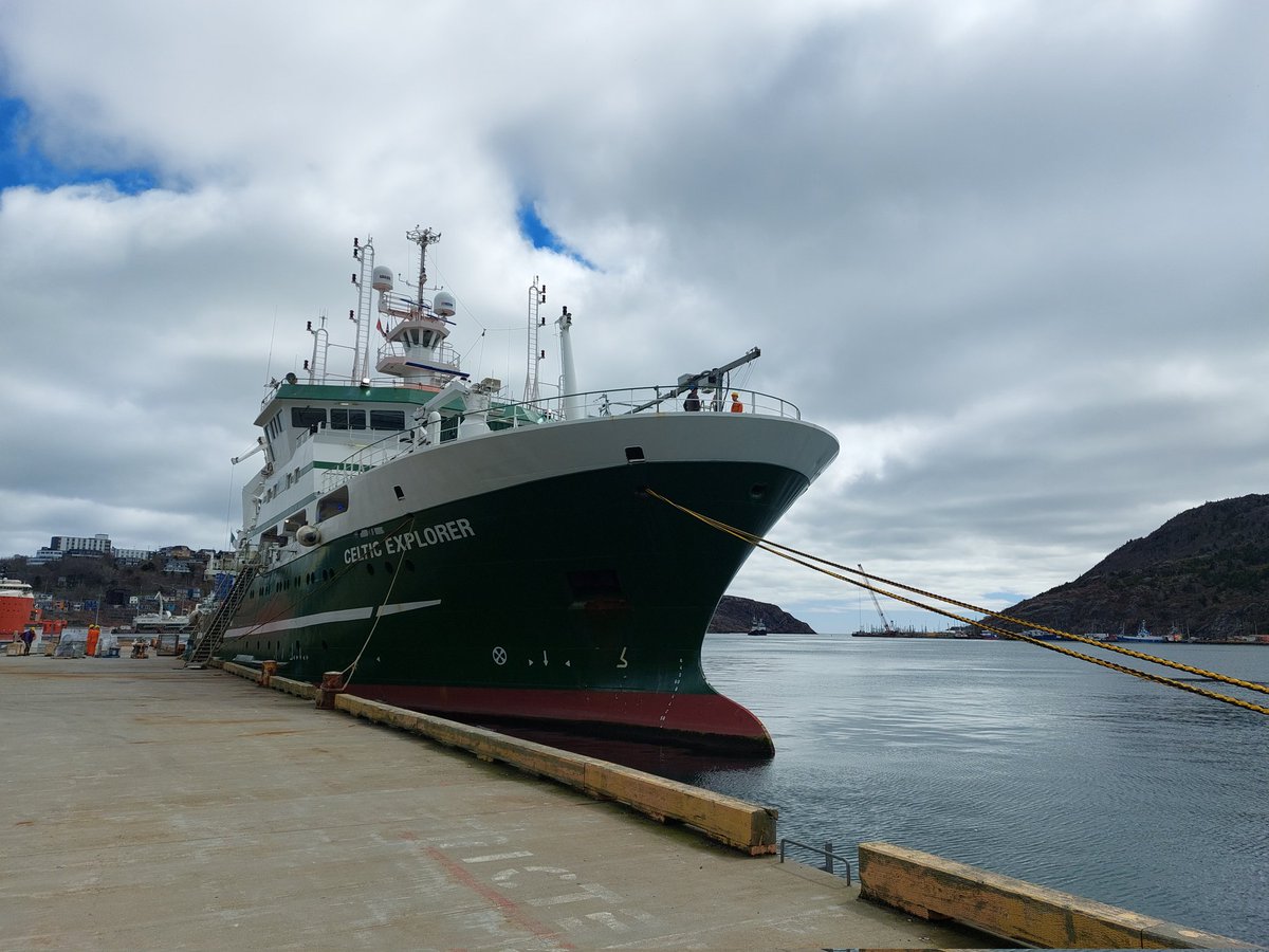 Damien McCallig tweet media