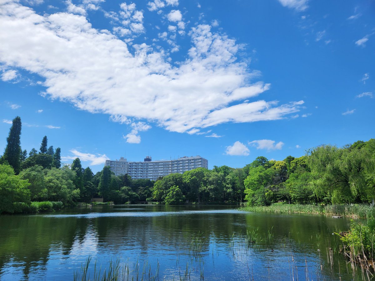 最近どうも疲れが抜けないなぁと思っていたけど、青空の下で自然が多いとこをのんびり歩いたり、ボーッとしてみたりしたらしっかり回復。こういう時間がないとガス欠になってしまう。次に一人旅行くならなんもしない旅しよう。