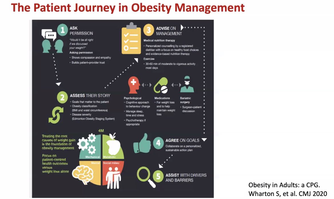 Patient journey with obesity. Practical points in management #thisisISN #isnwebinar @ISNeducation