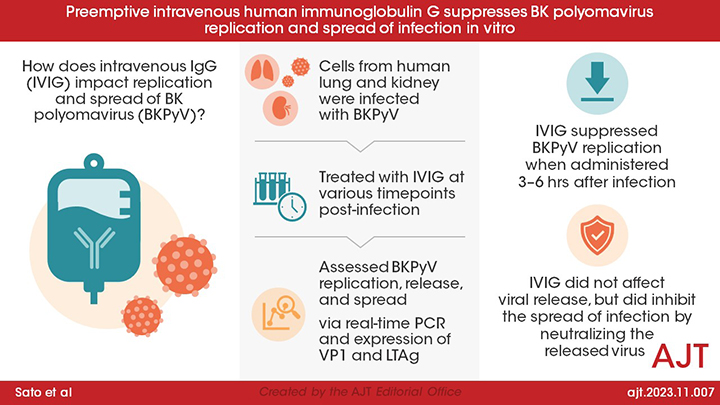 'Preemptive intravenous human immunoglobulin G suppresses BK polyomavirus replication and spread of infection in vitro' by Sato et al doi.org/10.1016/j.ajt.…