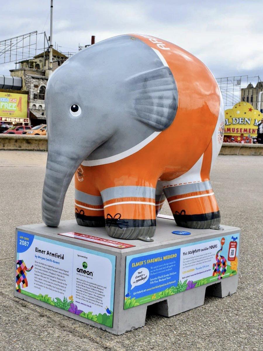 To my friends in Blackpool if anyone knows where I can get a smaller version of the Blackpool FC elephant please let me know @BlackpoolFC