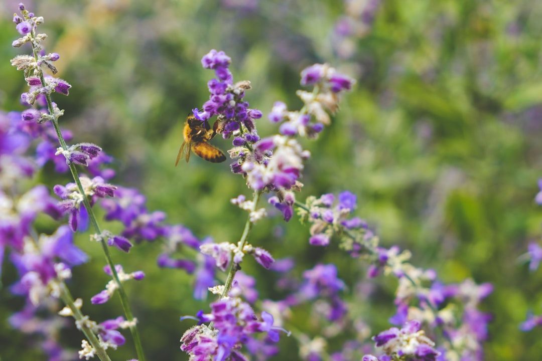 🌍🌿 #ClimateChange could soon become the leading cause of global biodiversity decline, surpassing land-use change by mid-century, according to a groundbreaking study. Discover the alarming trends ⬇️ buff.ly/4bdWV7I Via @EurekAlert