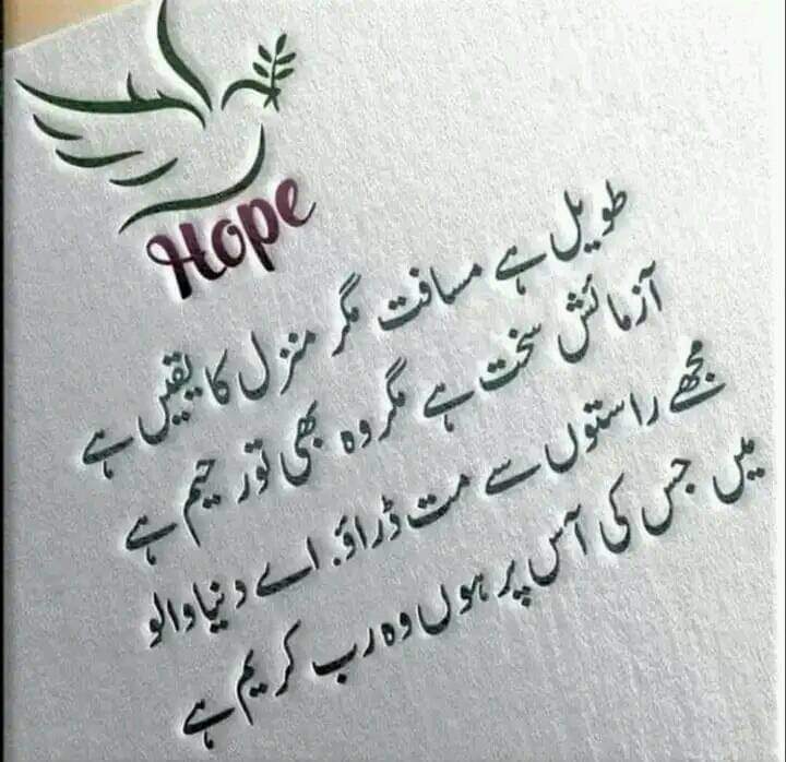 Aslamu alekum 💖 
Gud evening