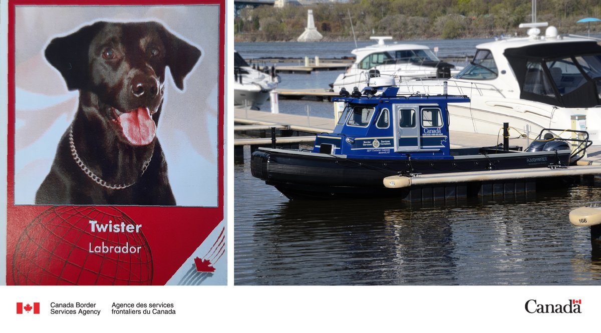 The CBSA launches the Twister Legacy, our latest boat, named in memory of detector dog Twister. It will be used to approach and inspect ships and represents a major investment in our operations.