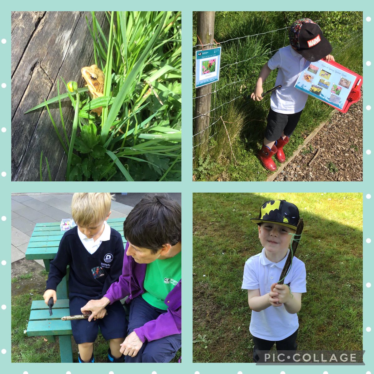 Hedgehog Class made a friend in Forest School today, a frog named they named “Jesse”.  We also had lots of fun completing a nature trail, making fishing rods and whittling.

I’d like to add that no 🐸’s were harmed whilst making this post Jesse was safely returned to the pond 💧