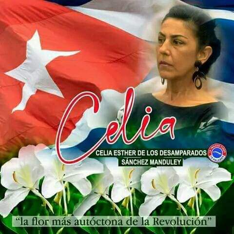 CubaMined's tweet photo. Un día como hoy, 9 de mayo pero de 1920, nace la flor más autóctona de la Revolución, la mujer del llano y de la sierra, ejemplo de compromiso y lealtad. Celia nuestra y de la flores. #CeliaVive https://t.co/IALME1dbtH