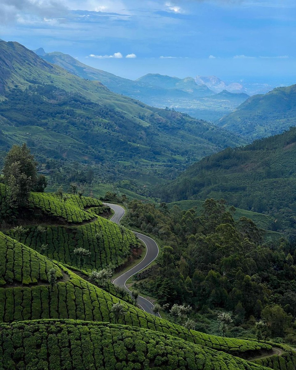 Drive down the twisted road and let the thrill unfold. 📍 Munnar #Repost from Aman | Instagram 📸 Want to #share your greatest moments ever lived? Upload your photos, tag us and use #ngtindia on Instagram. #NatGeoTravellerIndia #NGTI #India #Nature #Travel #Munnar