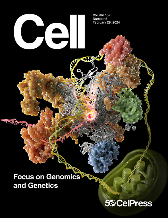 On the occasion of #BoG24 revisit our #50yearsofCell focus issue on #Genomics and #Genetics! 👉cell.com/cell/issue?pii…