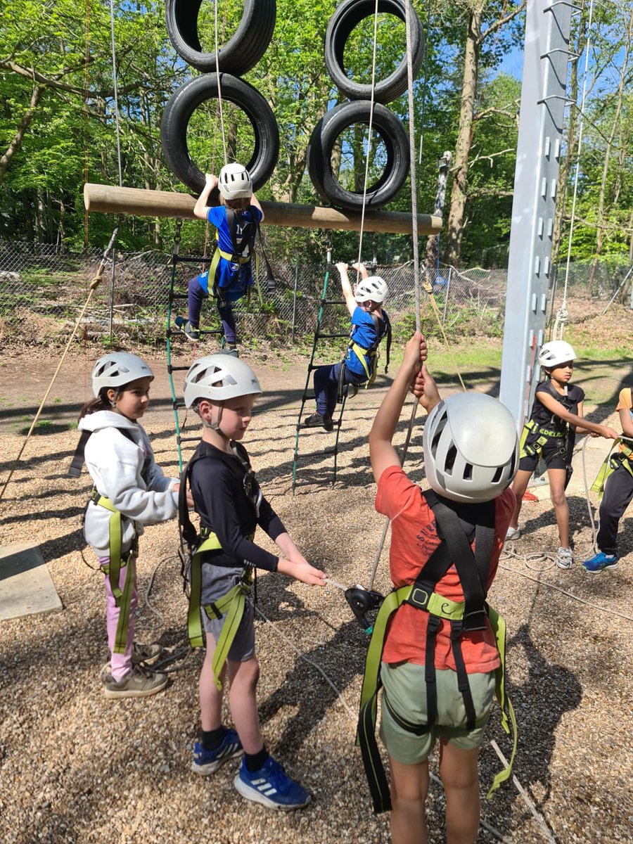 Y4@fircroft.family tweet media