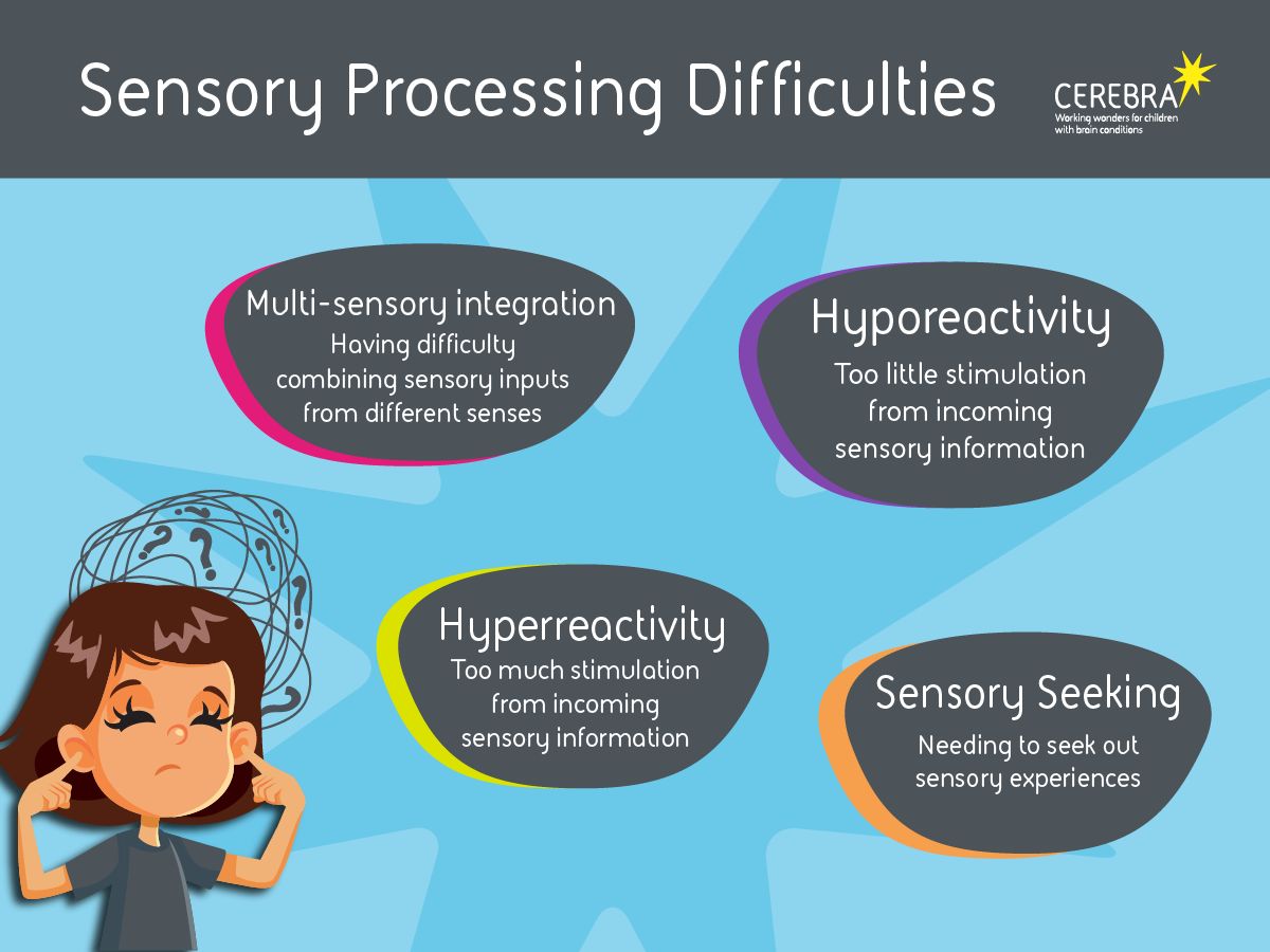 What are the common types of sensory processing difficulties? 🧵