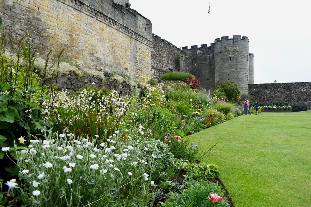 Calling all budding spring photographers, we want to see your blooming great photos of Stirling in spring. Flowers, trees, petals, or leaves, you snap it, we clap it 🌷🌳🌸🍃👏