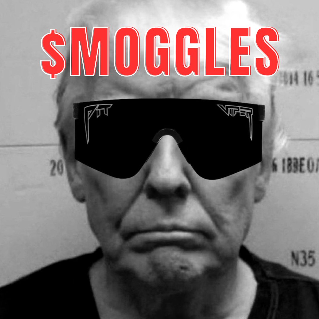 MOGGLES tweet media