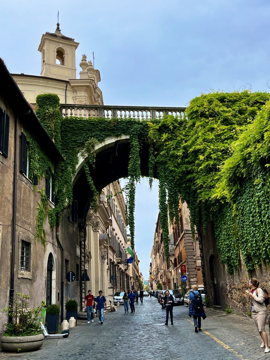 Via Giulia è una delle mie passeggiate preferite a 
#Roma 🤍 
Questa strada insolitamente diritta è dovuta alla pianificazione urbanistica.
Non è una strada esclusivamente pedonale, ma ci sono poche macchine.

#Rome