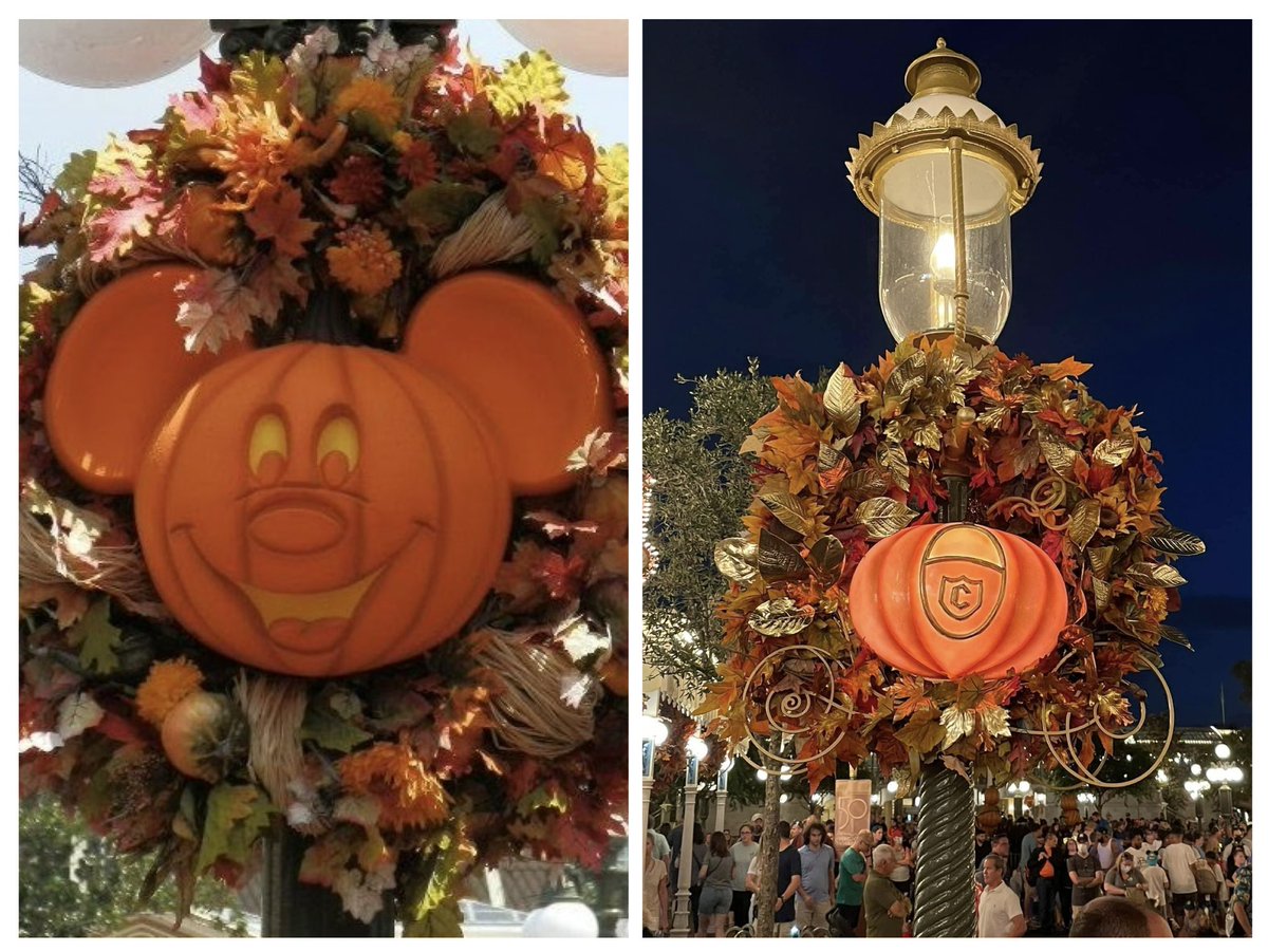 When it comes to lamp posts in the Magic Kingdom are you team Mickey or Cinderella? I like the Cinderella Coach.
