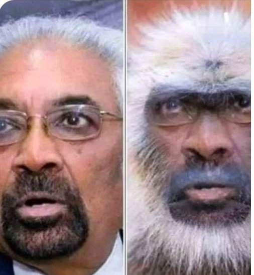 The movie 'Kingdom of the Planet of the Apes' is releasing tomorrow. Hey Sam Pitroda, is it a coincidence? 🤔