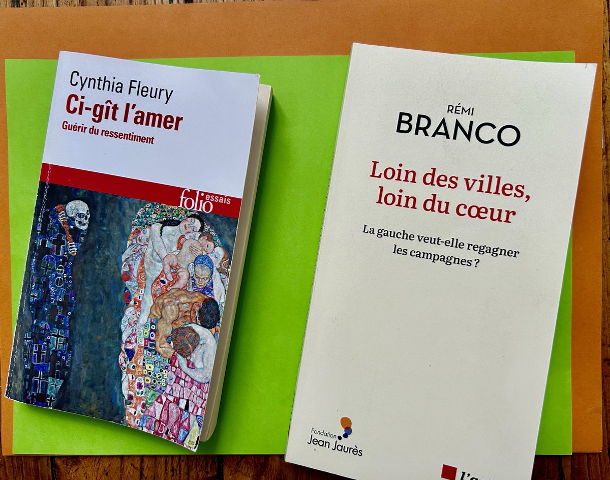 Selon la philosophe Cynthia Fleury il faut dépasser « le ressentiment » qui entraîne l’adhésion au Rassemblement National . Ce qui rejoint les propos de ⁦@remi_branco⁩ « le RN progresse là où la pauvreté et le sentiment d’abandon se développent »