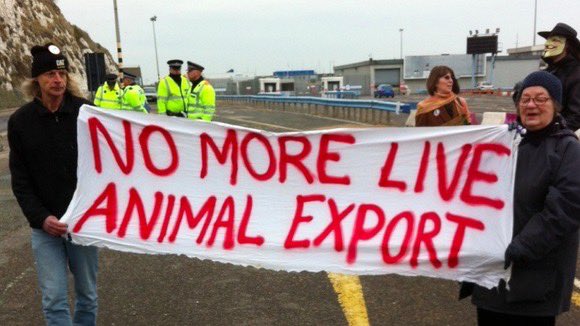 The UK Government Just Scrapped a Landmark Animal Rights Bill thepetitionsite.com/en-gb/148/333/…
I’ve called on the Prime Minister to  fulfil this manifesto commitment and deliver a ban on British live exports. Please sign the petition. #BanLiveExports action.ciwf.org.uk/page/129350/pe…