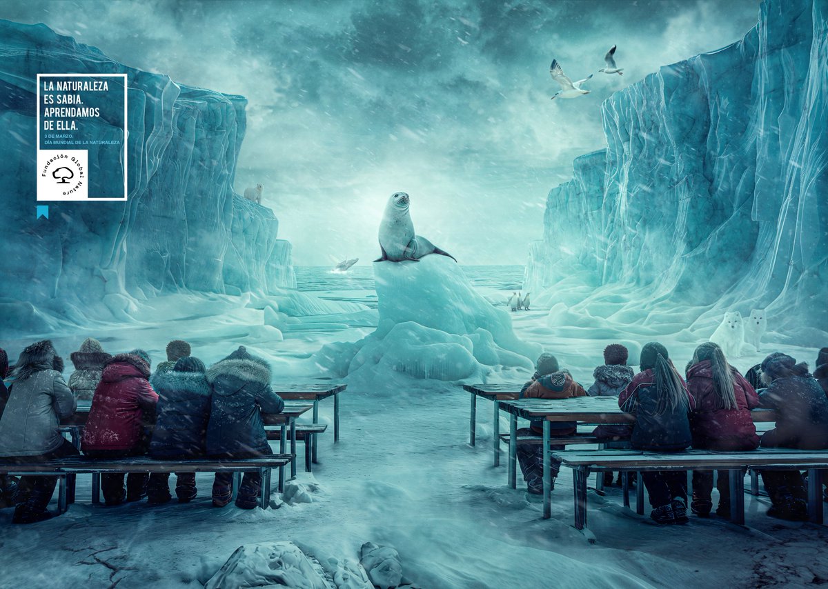 Reason Why tweet media