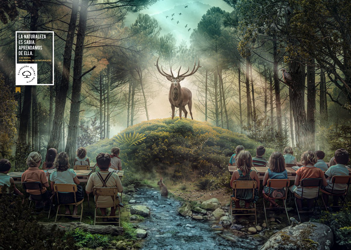 Reason Why tweet media