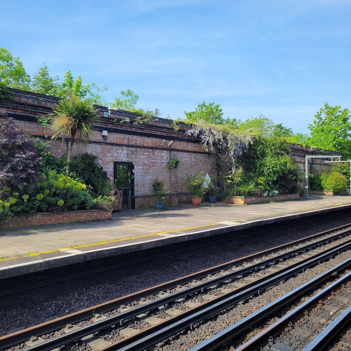 The hanging gardens of Willesden Green.