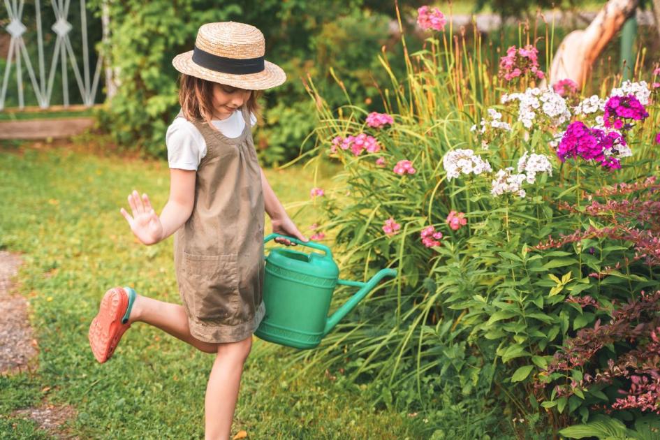 From foxgloves to lilies and hydrangeas, here are some of the most poisonous plants to keep away from children according to a home expert. dlvr.it/T6dSkz 🔗 Link below