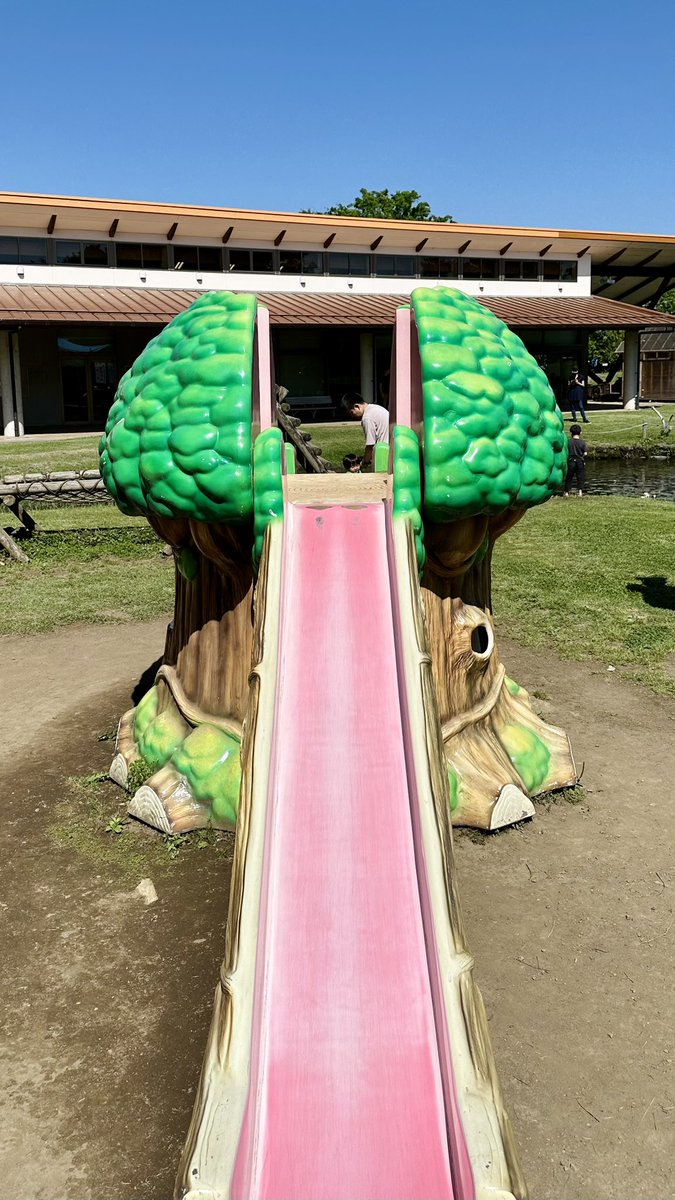 木🌳を模した
滑り台だろうとは思うが…🛝
どう見ても脳味噌🧠

#公園