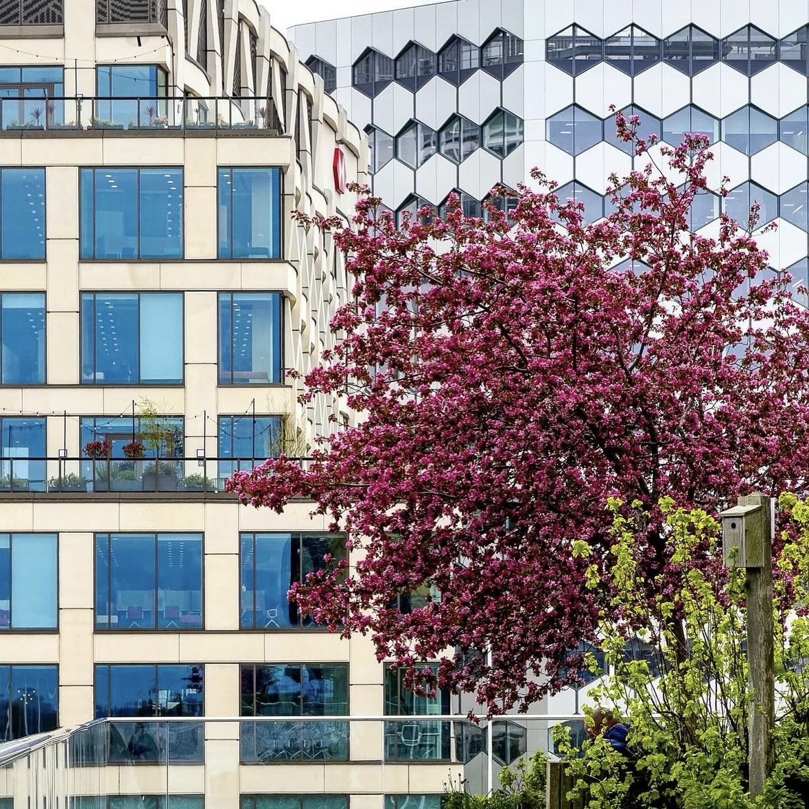 OSelectProperty's tweet image. Birmingham in Bloom! The sun is starting to shine in the city and we&apos;re loving seeing it come to life! #SelectProperty

📸 (IG) prophotograhypictures