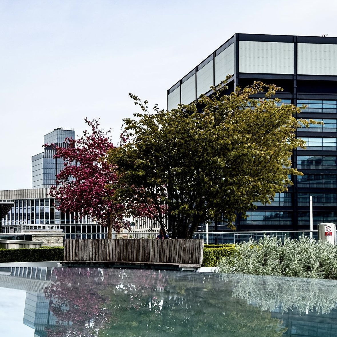 OSelectProperty's tweet image. Birmingham in Bloom! The sun is starting to shine in the city and we&apos;re loving seeing it come to life! #SelectProperty

📸 (IG) prophotograhypictures