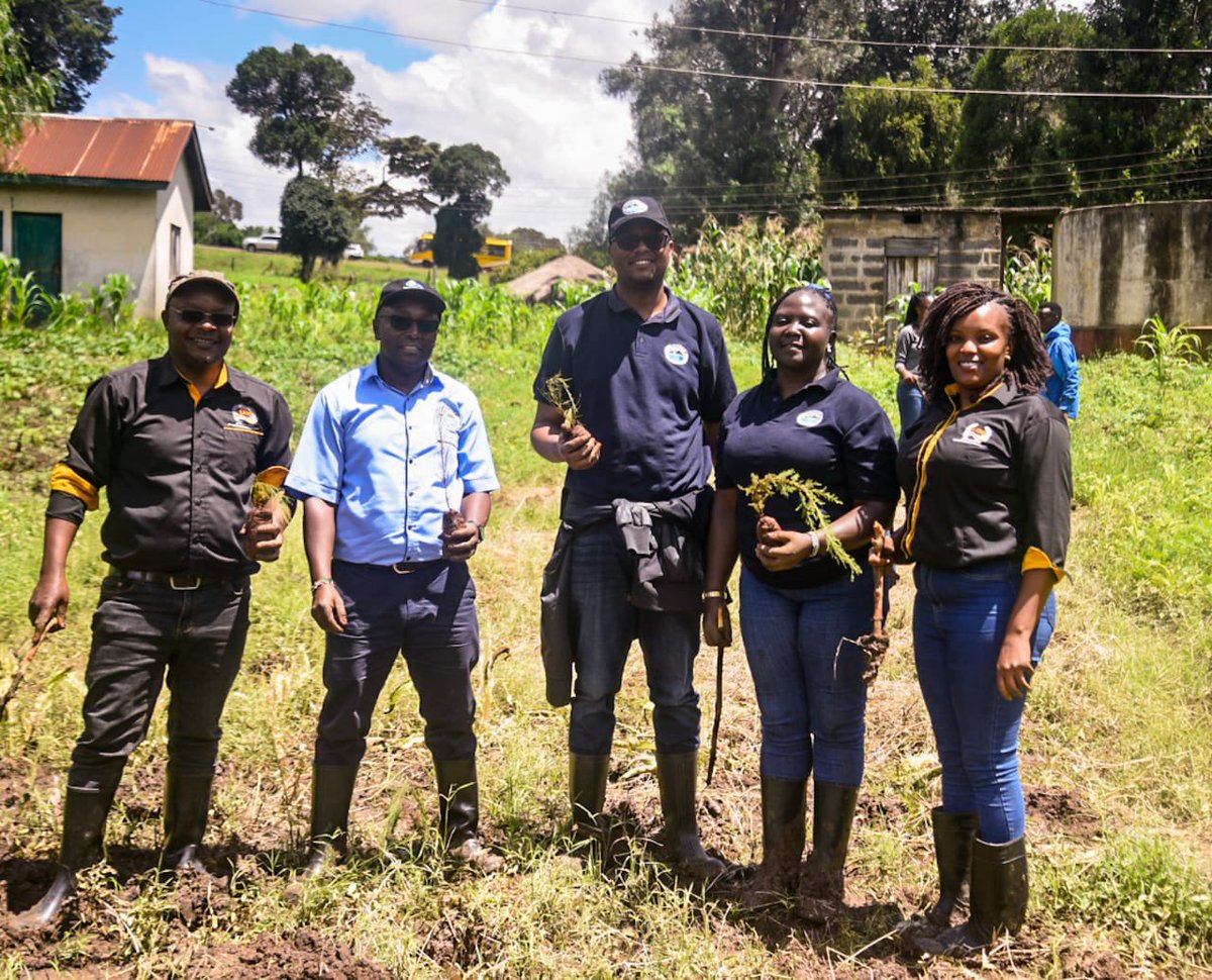KIM Nyeri students and staff, in collaboration with NYEWASCO, took a green initiative by planting trees to nurture our environment. 🌳💚 Together, we're making a positive impact and fostering a greener, healthier future for generations to come. #Treeplanting
