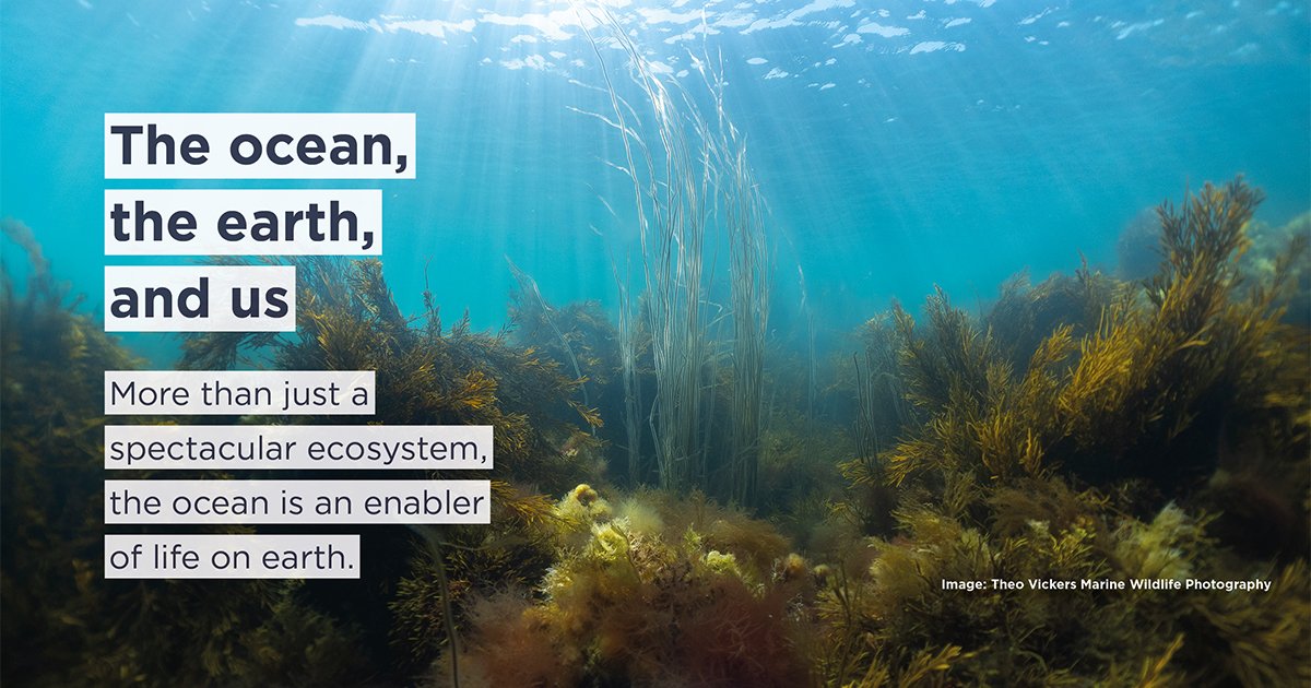 New IUCN report shows way toward Regenerative Blue Economy. Regenerative Blue Economy defines different sustainability levels within the overall umbrella and sets ambitions for nature and society alike iucn.org/news/202404/ne…
@ISS_Research @IucnE @environmentza @WorldOceansDay