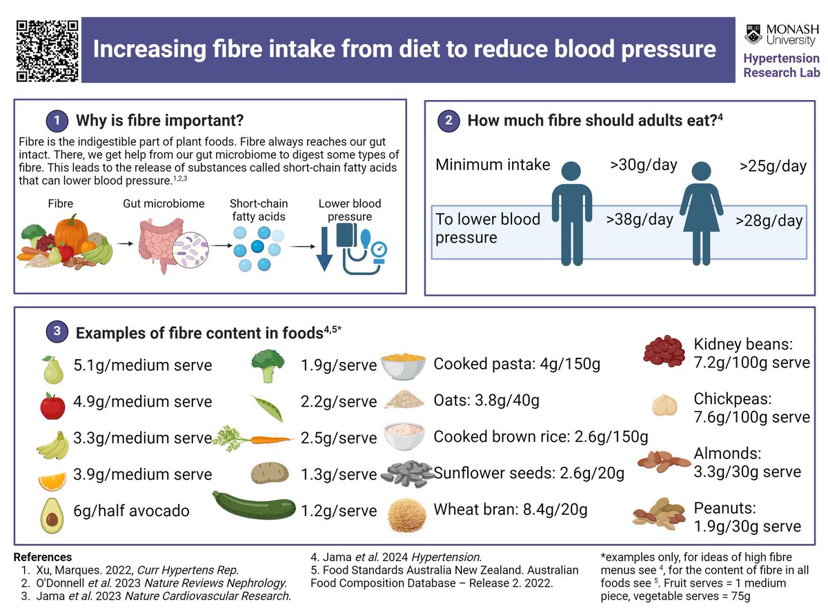 Thank you @ISHBP for featuring our @HyperAHA paper on recommendations for fibre intake in hypertension 👇👇👇 Also checked out @Jo0Donnell’s article on barriers for women in hypertension research in Australia ahajournals.org/doi/10.1161/HY…