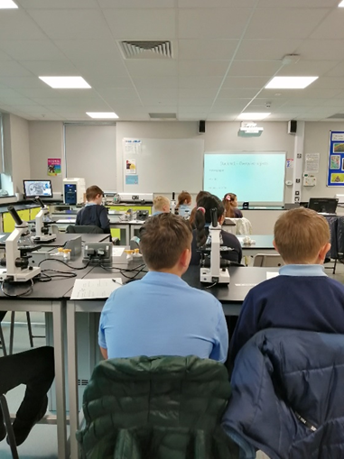 Thank you to Guston Primary School for joining our first primary school workshop involving a Scanning Electron Microscope. We are so grateful for the amazing opportunity provided for our students from having been loaned the microscope! @Hitachi_EM @NHM_London @ResearchInSch