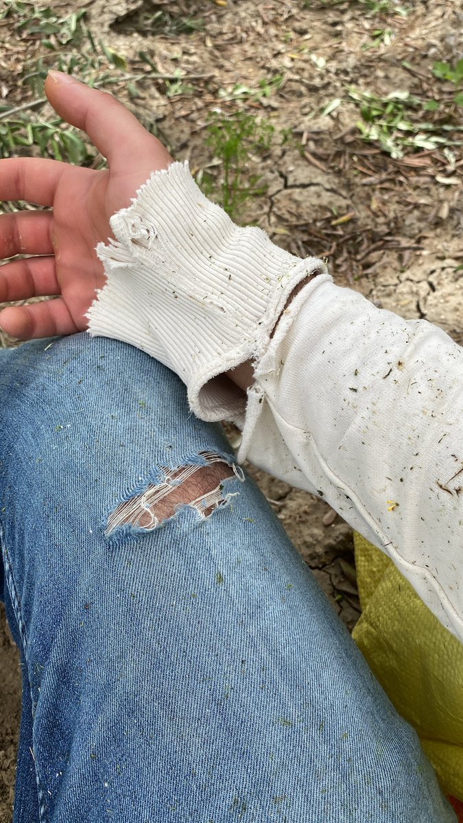 aynen canım met gala