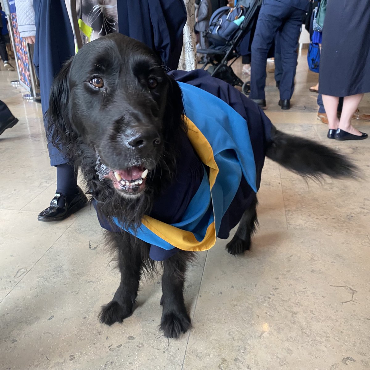 A guest of honour at today’s ceremony! Looking amazing in his gown 🙌 #OUfamily