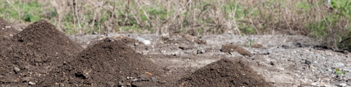 Join us at our upcoming training event in Reading on 25th June; to explore how the Definition of Waste Code of Practice (DoW CoP) revolutionises waste management processes, paving the way for cost-effective and eco-friendly solutions. 🌿
claire.co.uk/commerce/11234…