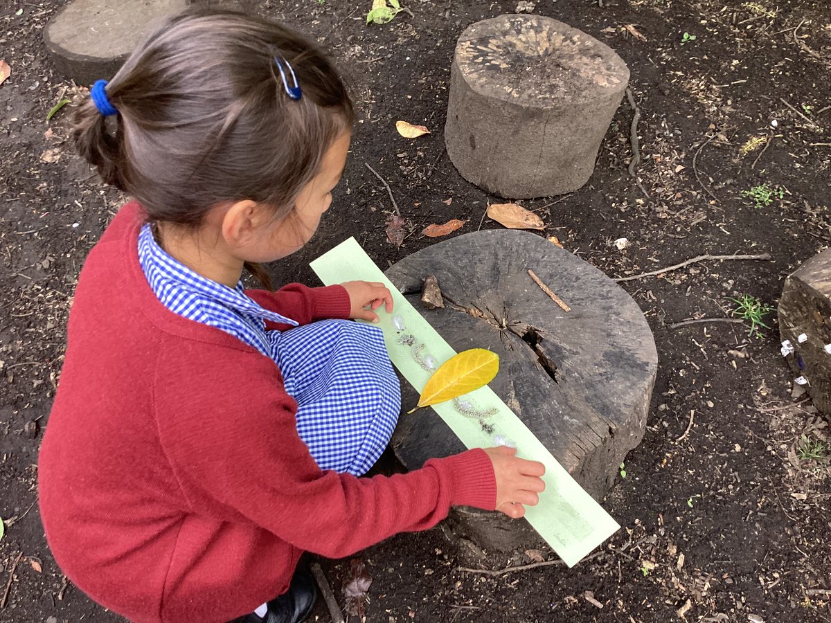 Our Primary 3 learners @stgeorgesedin took their learning into the outdoors. They made flower crowns after writing about being 'Queen for the day' as part of their Victorians topic. #aVoiceforAmbition