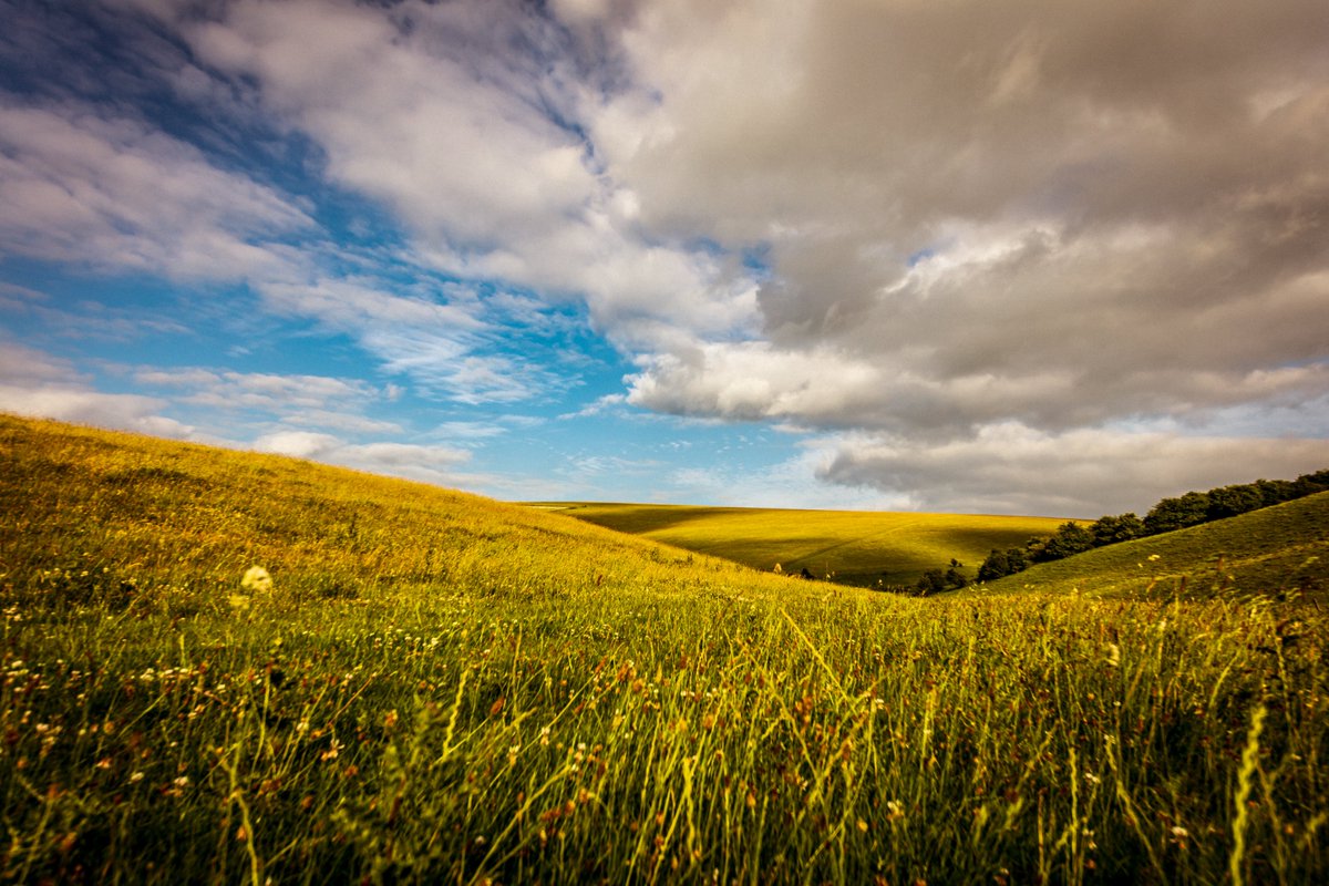 Wow!! A fantastic weekend was had by all (thank you Weather Gods 🙌) Thank you to all walkers who laced up their boots+to our wonderful walk leaders! Keep an eye on our socials as we start to plan our next event👀 Sign up to our newsletter: shorturl.at/wxGHN 📷Nigel French