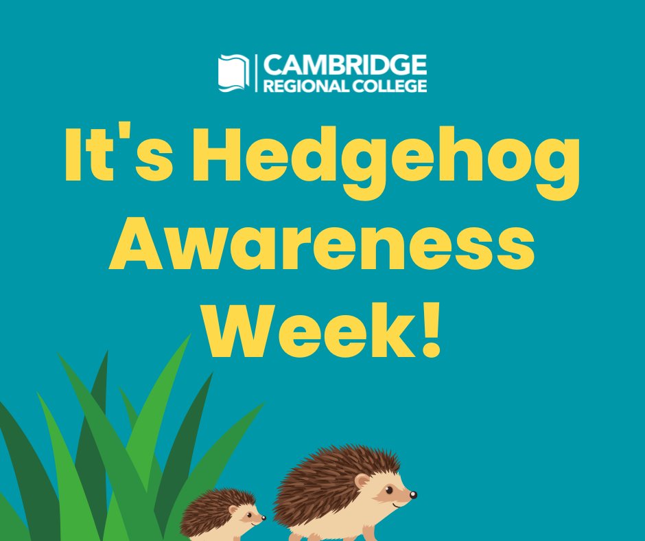 Did you know it's Hedgehog Awareness Week? Hedgehogs are at risk of extinction in the UK, so let's do our part to help by picking up our litter and keeping their habitats clean and safe! #hedgehogweek @hedgehogsociety