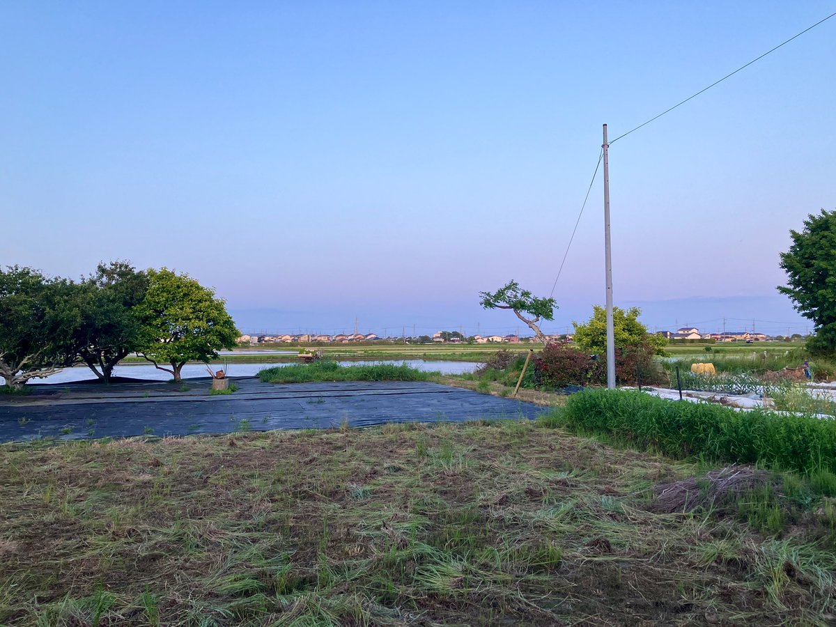 kitakara_enshu's tweet photo. 磐田のんびり生活
#静岡
#Japan
#Iwat
#ricefield https://t.co/2QOLKpj2pZ
