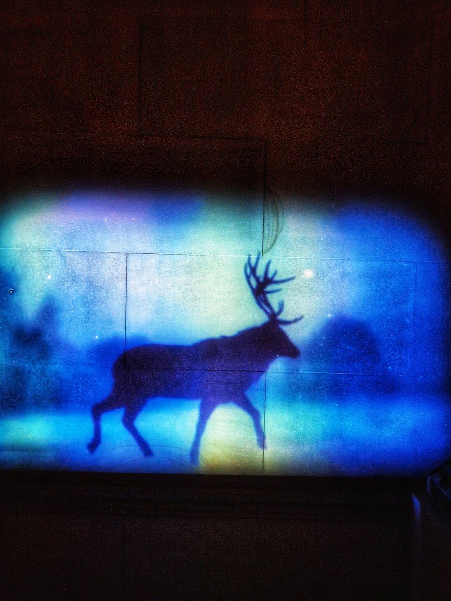 #AlphabetChallenge #WeekS Stag ..pic taken at Chatsworth last Xmas..lovely images of stags walking by and looking at you