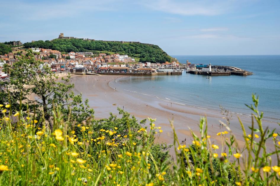 Residents and holidaymakers are being reminded of the areas along the picturesque North Yorkshire coastline that dogs are still welcome as restrictions have been introduced on beaches during the summer months. dlvr.it/T6dW59 🔗 Link below