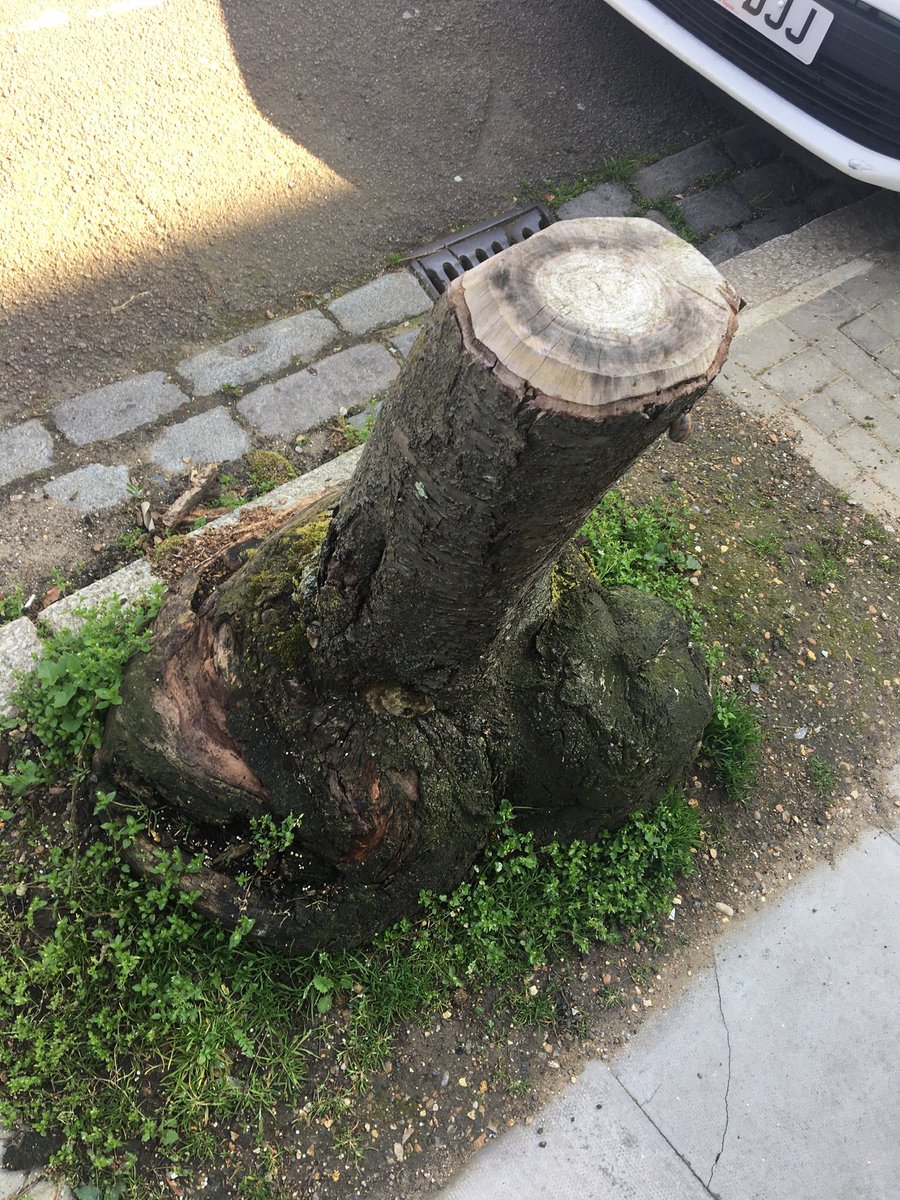 This tree stump shouldn’t be allowed in a family-friendly neighbourhood.