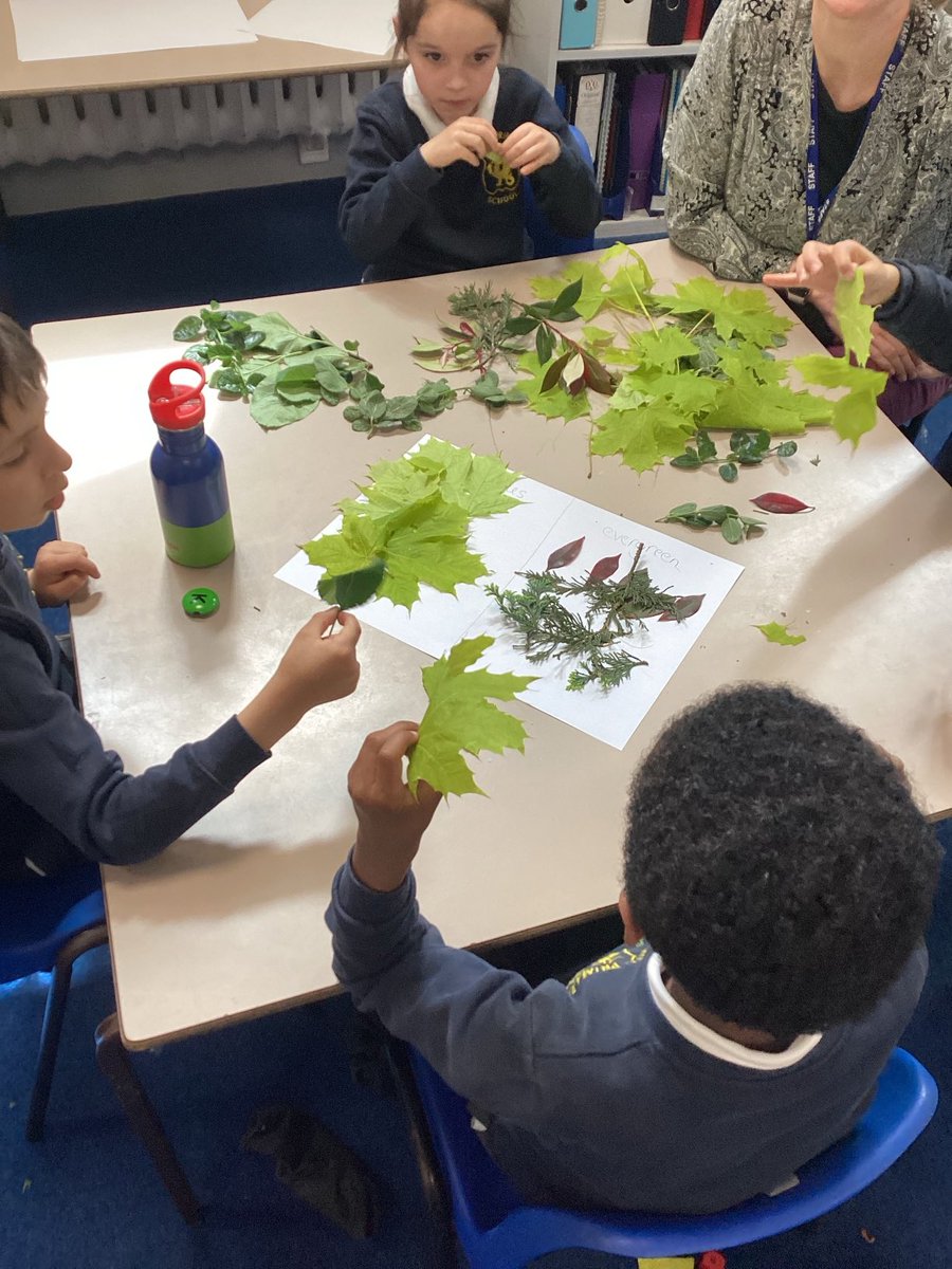 Learning about different kinds of leaves in practical science in Oval class