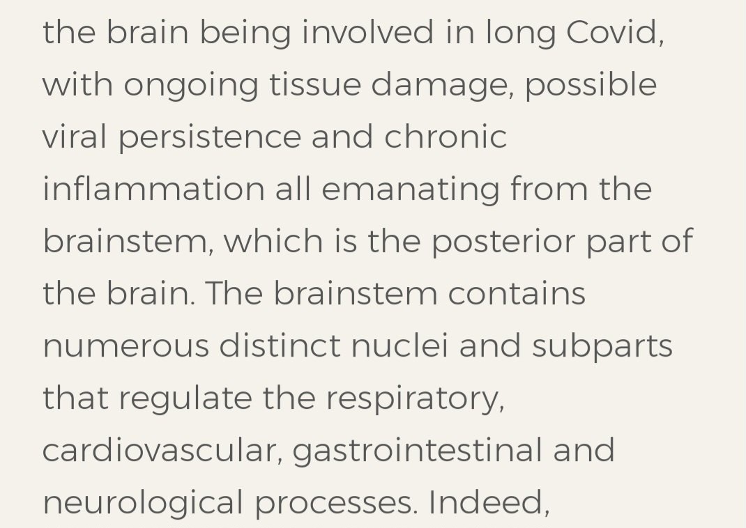 30/ #TimeToTalkSARS2 🧠🧵
@SimonHarrisTD @RSAIreland
Dr Lambert speaking at the Oireachtas Joint Committee on Health debate re #LongCovid 
(6th July 2022)
oireachtas.ie/en/debates/deb…