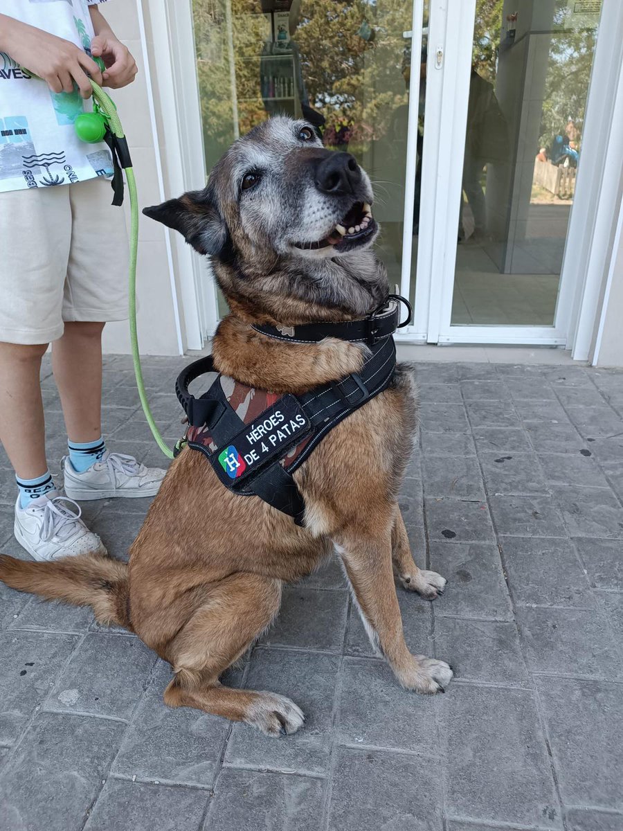 Hacen falta días malos para darte cuenta de lo bonitos que son el resto.  Xena Policía Local.